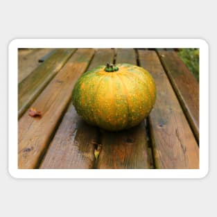 Pumpkin in the Rain Sticker